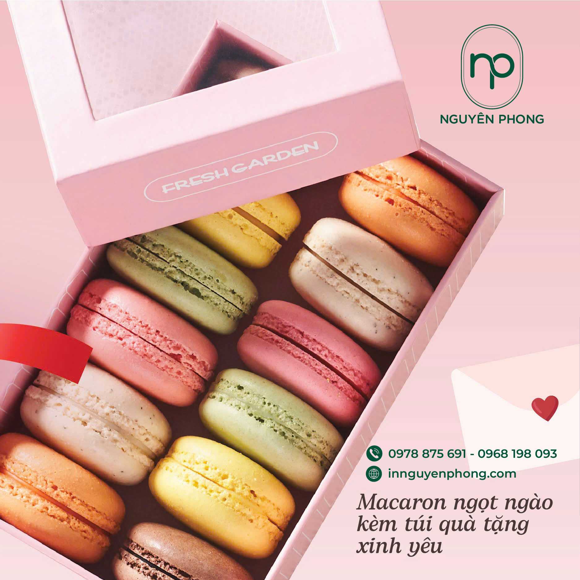 Hộp đựng Macaron màu hồng nhẹ nhàng